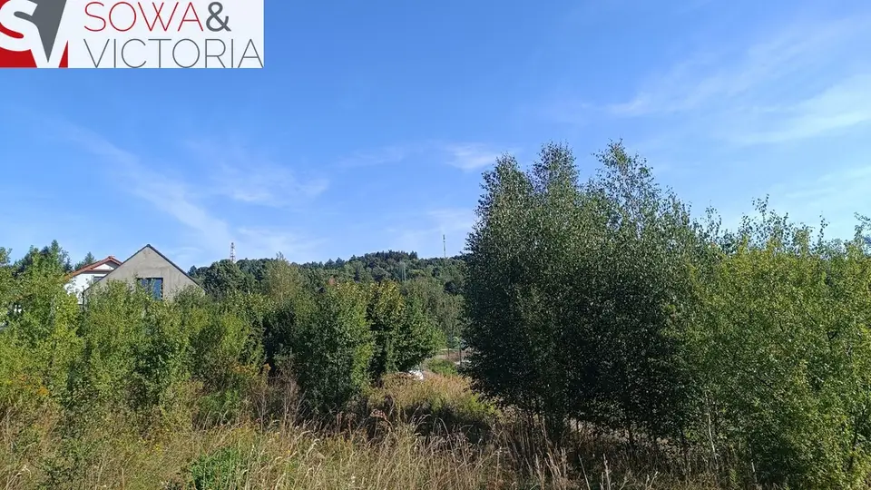 Zdjęcie 3