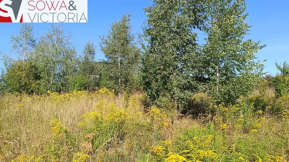 Zdjęcie 4