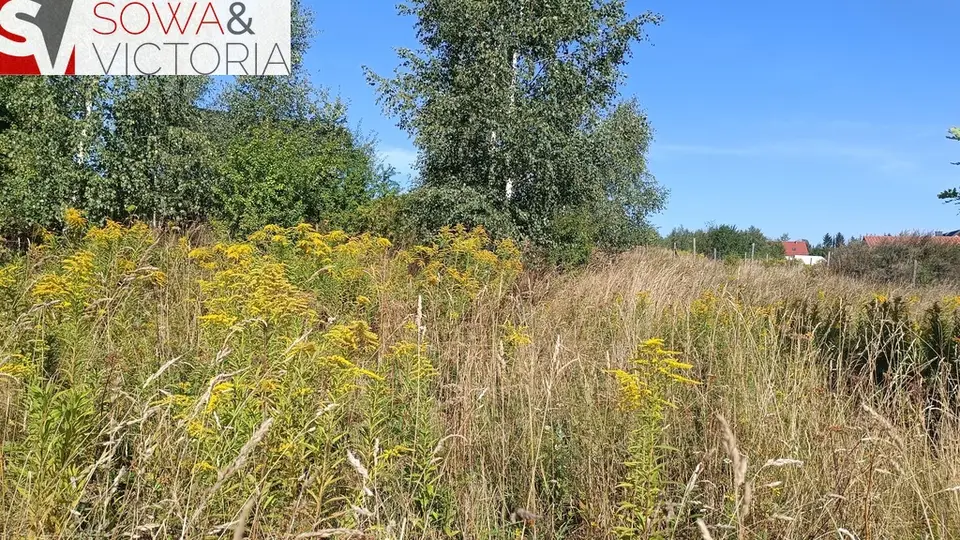 Zdjęcie 7