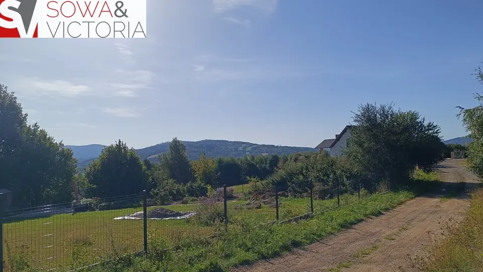 Zdjęcie 8