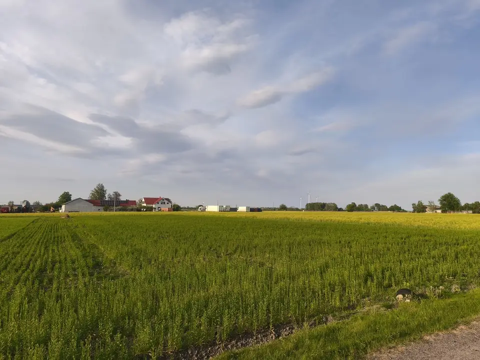 Działka budowlana 3 002 m², Wola Miedniewska