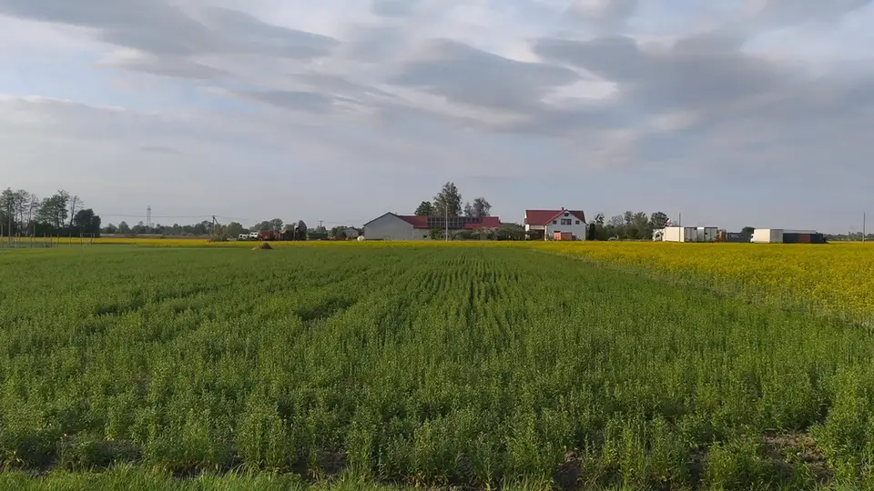 Zdjęcie 2