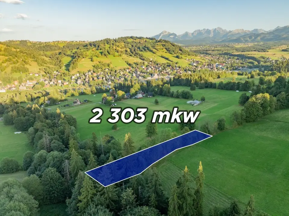 Działka rolna 2 303 m², Biały Dunajec