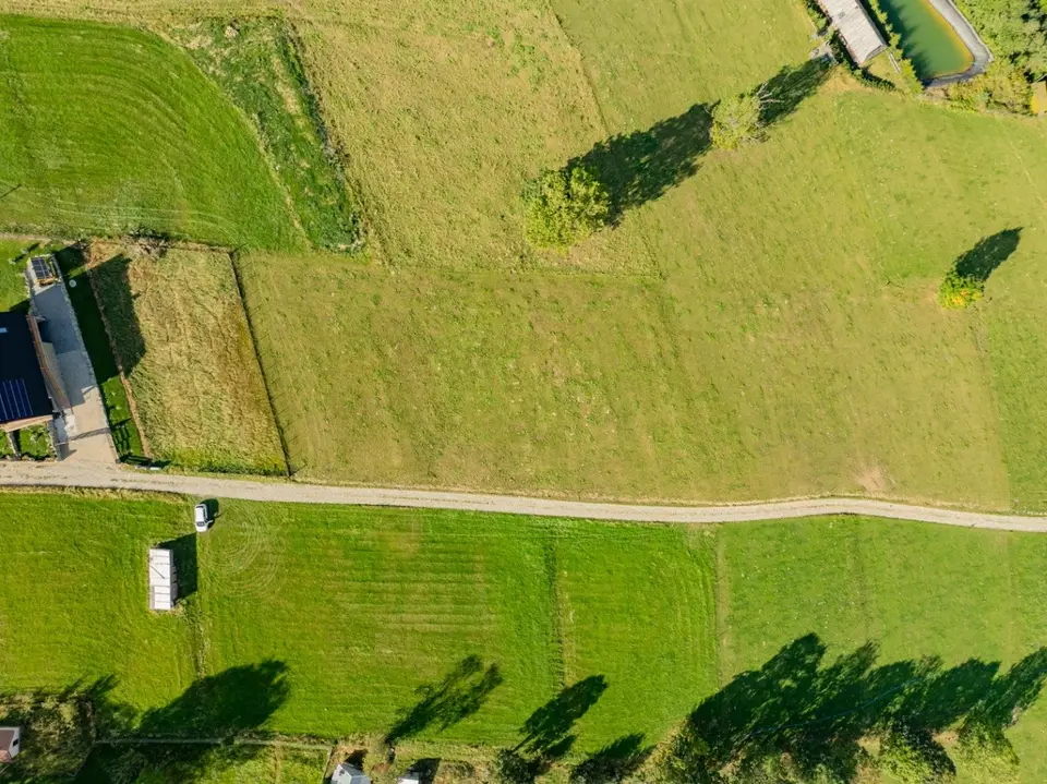 Zdjęcie 17