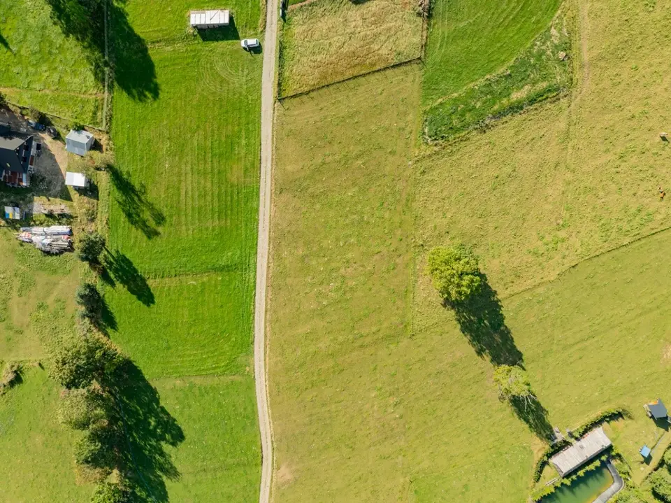 Zdjęcie 18