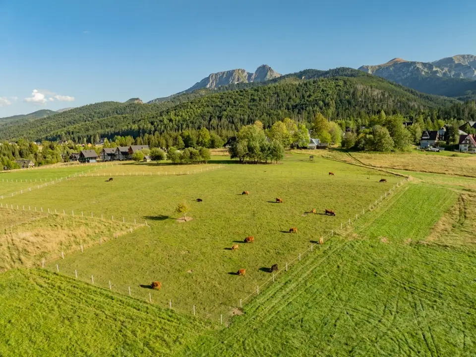 Działka rolna 3 115 m², Kościelisko