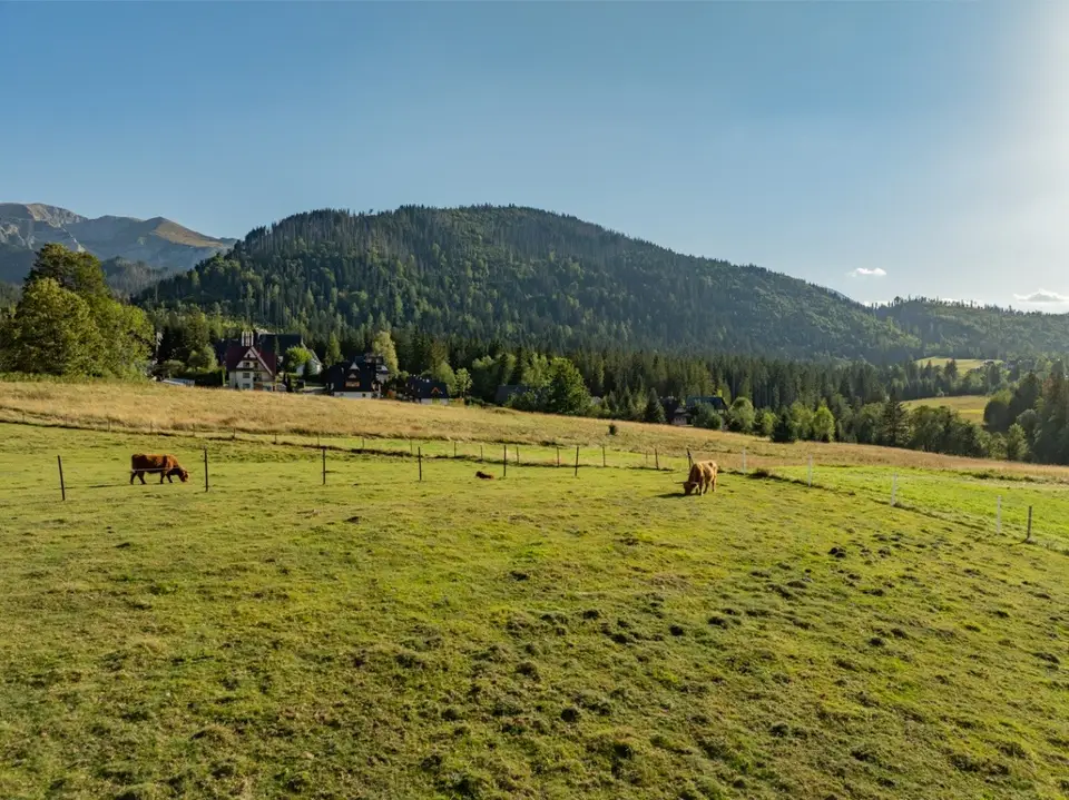 Zdjęcie 10