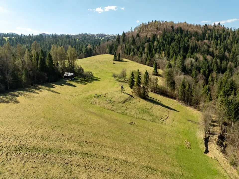 Zdjęcie 15
