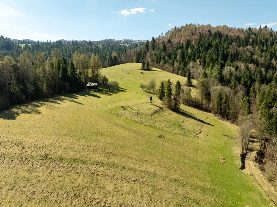 Zdjęcie 16