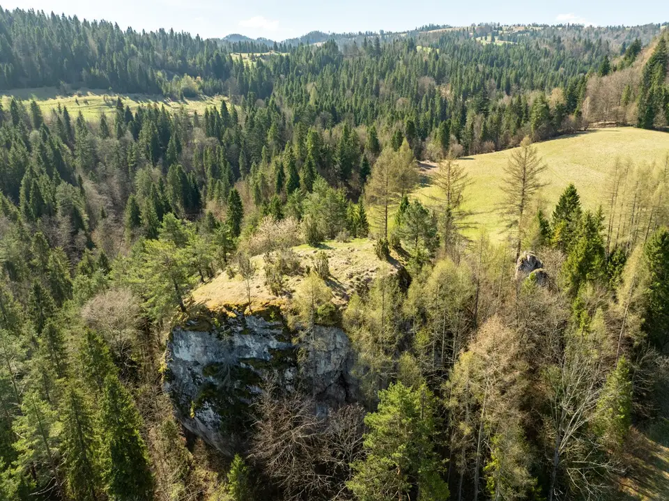 Zdjęcie 21