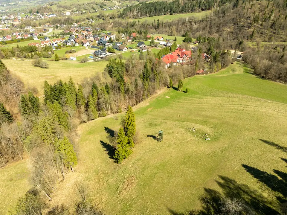 Zdjęcie 26