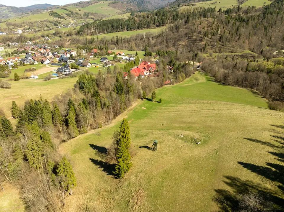 Zdjęcie 28