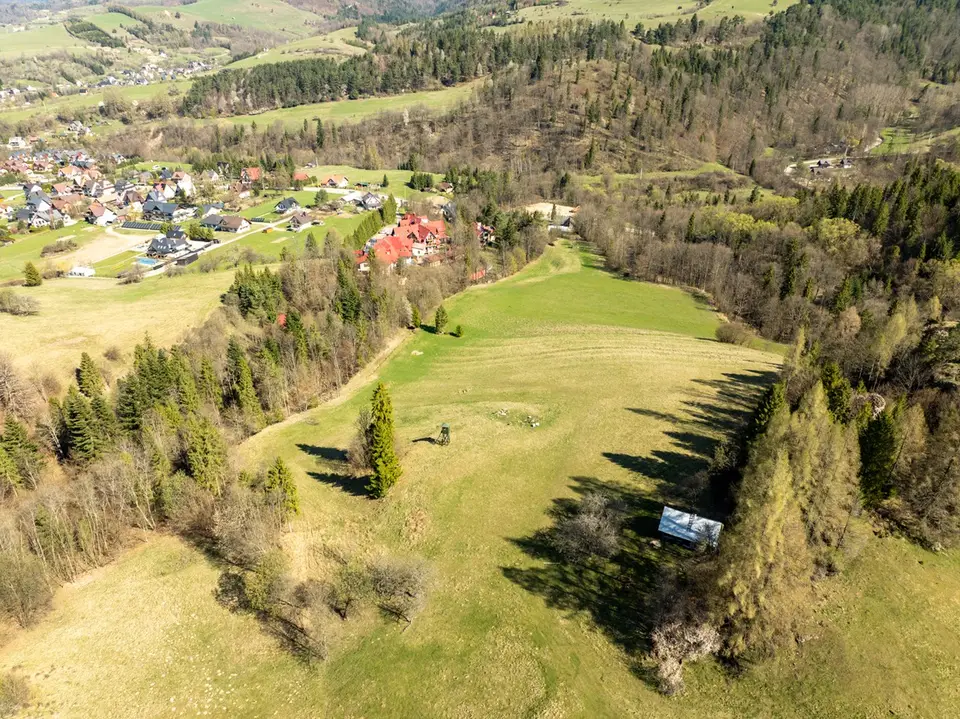 Zdjęcie 30