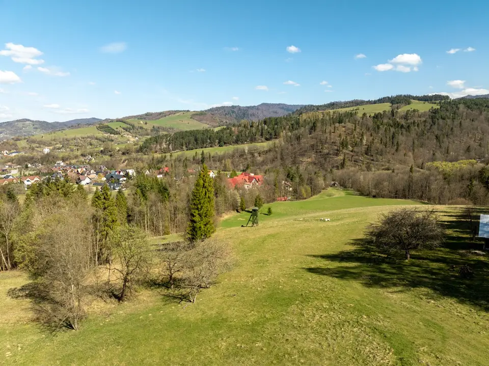 Zdjęcie 33
