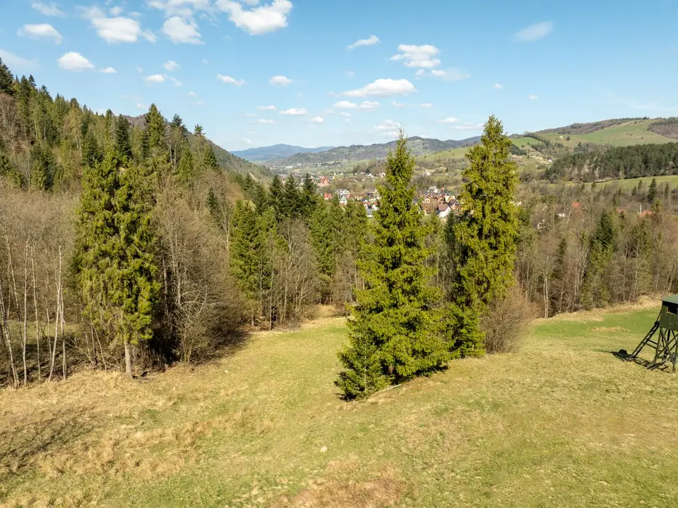 Zdjęcie 35