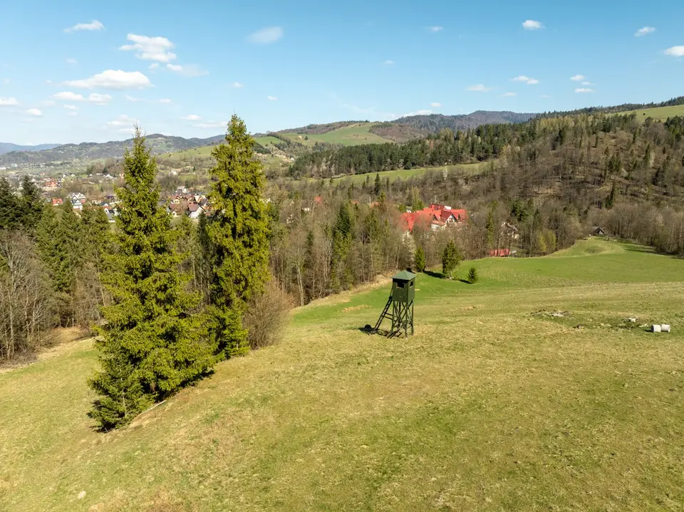 Zdjęcie 36