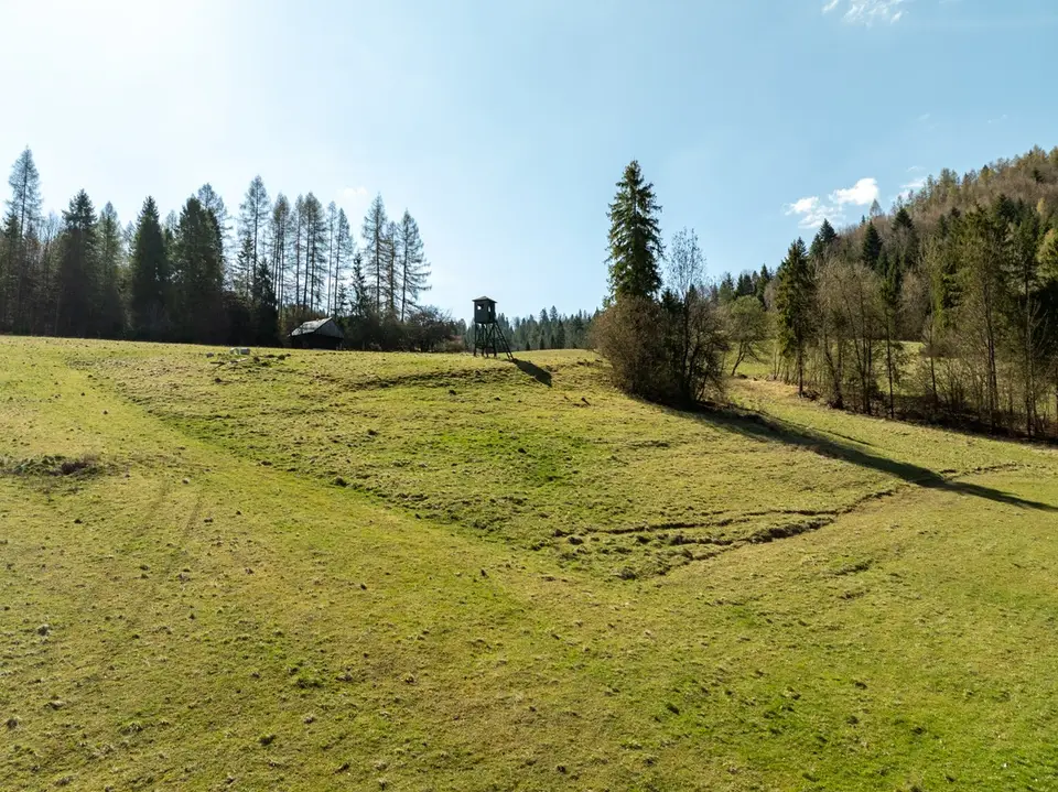 Zdjęcie 8