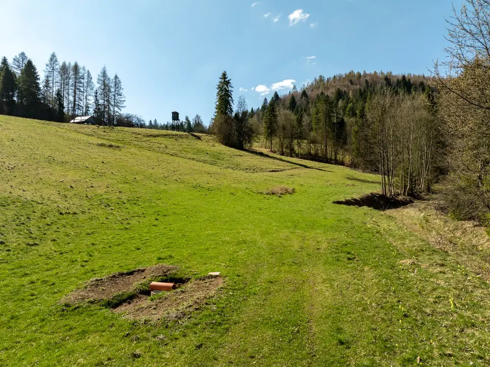 Zdjęcie 12