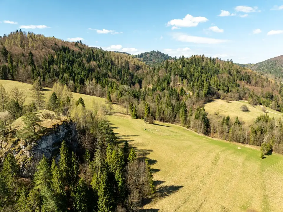 Zdjęcie 14