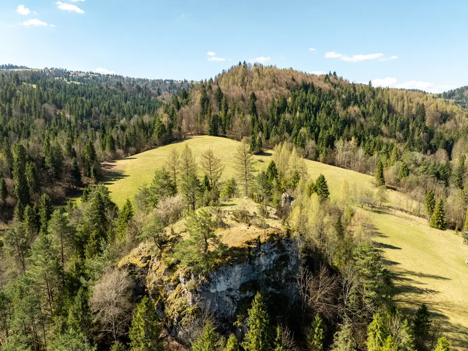 Zdjęcie 15