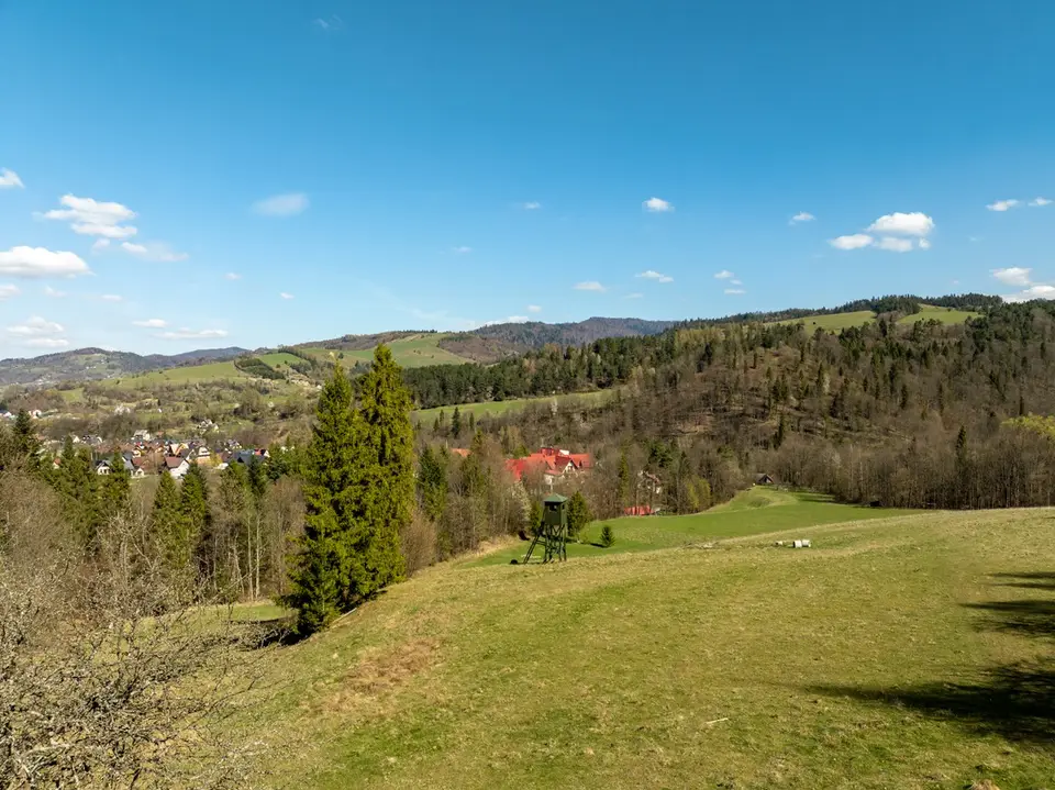 Zdjęcie 19