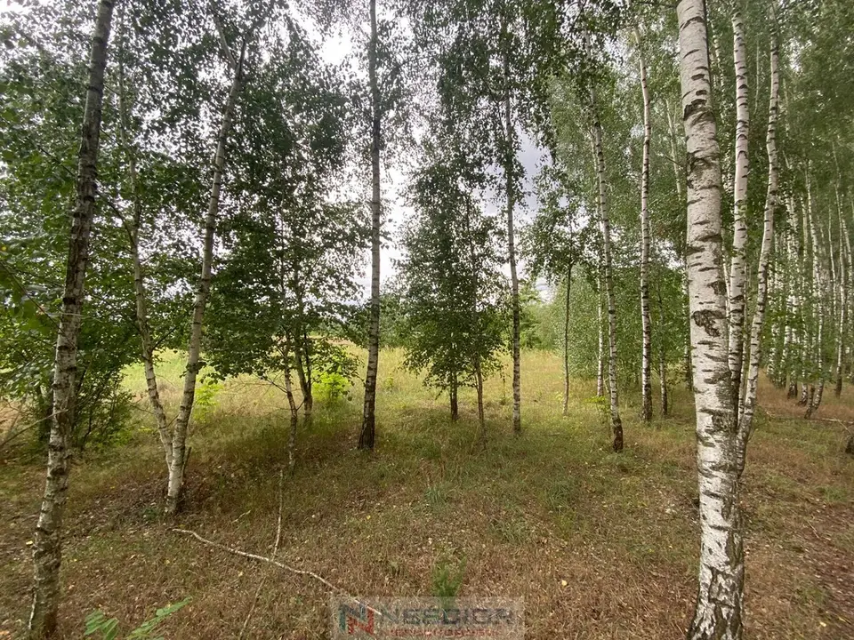 Działka budowlana 1 514 m², Gołąbek
