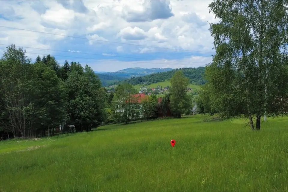 Zdjęcie 15