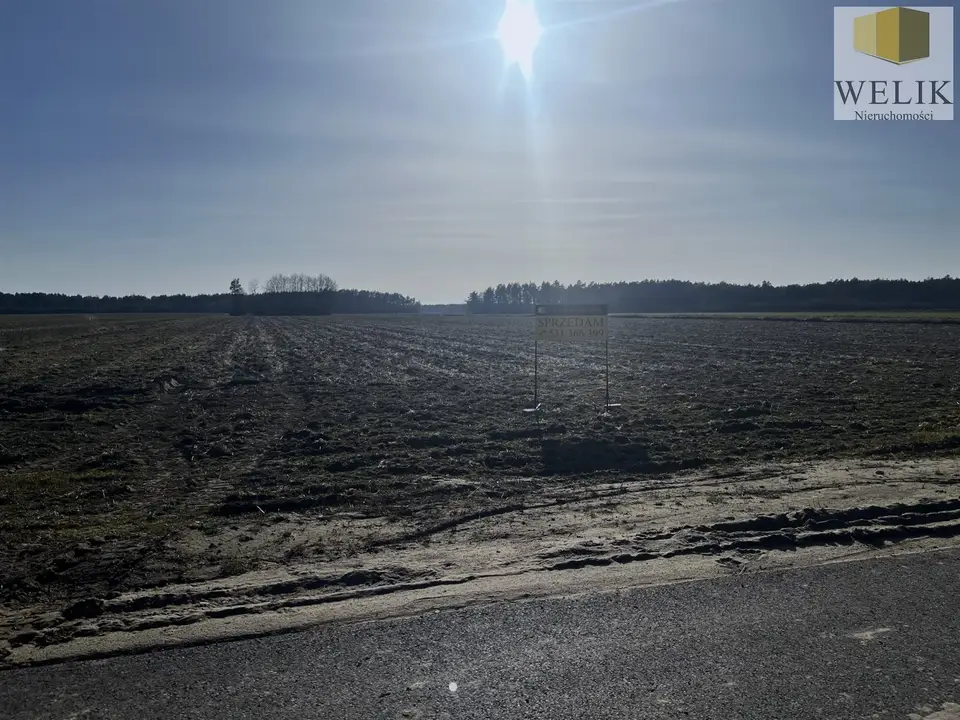 Zdjęcie 3