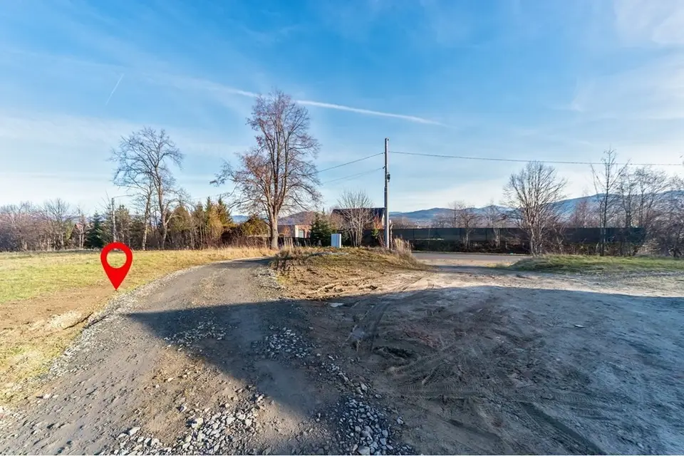 Zdjęcie 12