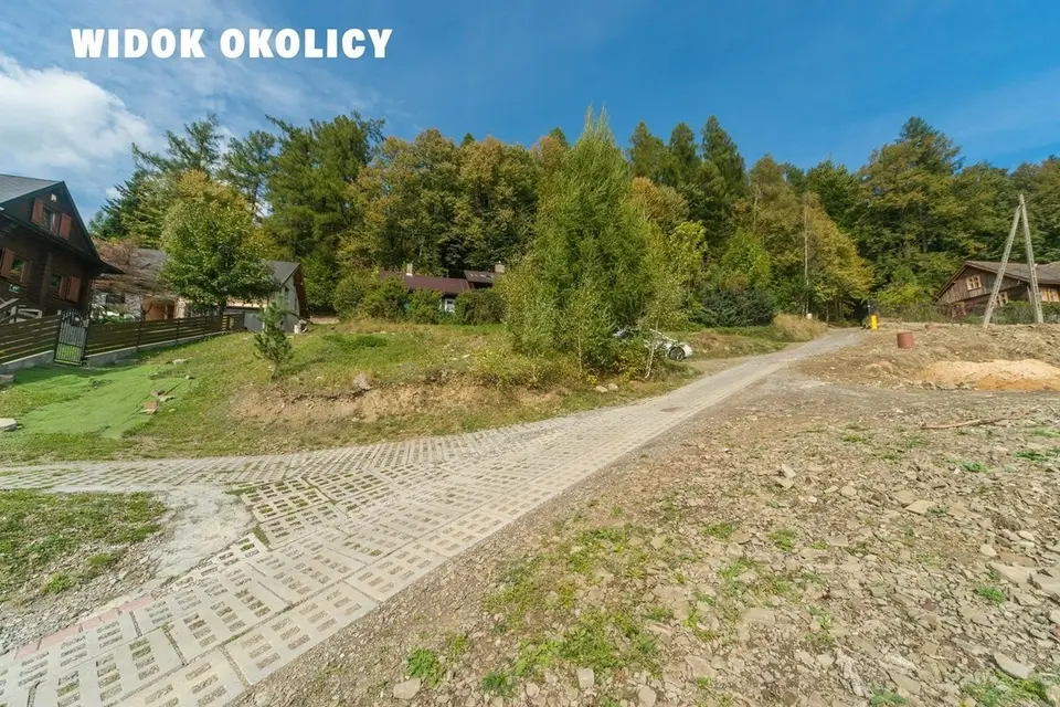 Zdjęcie 7