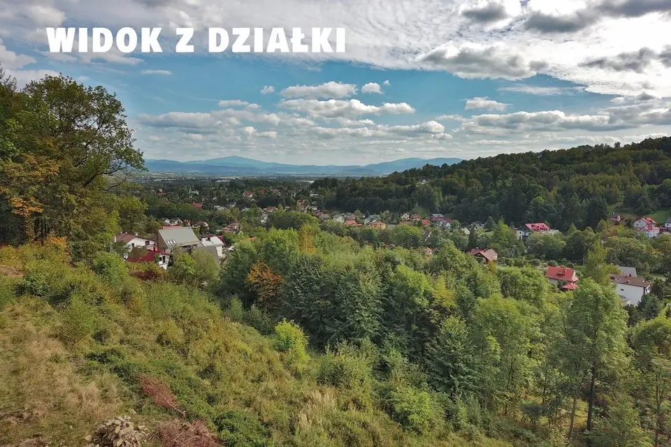 Zdjęcie 20