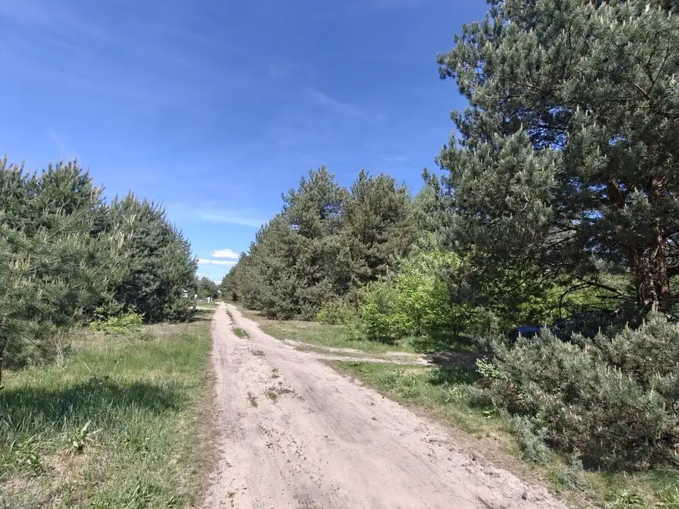 Zdjęcie 2