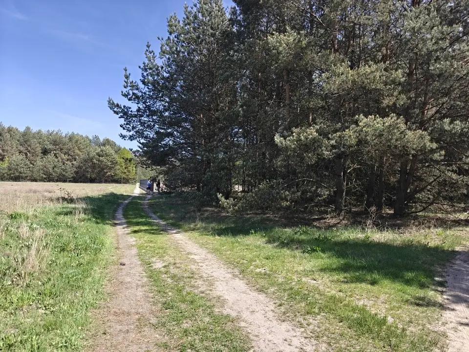 Zdjęcie 3