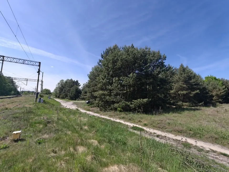 Zdjęcie 6