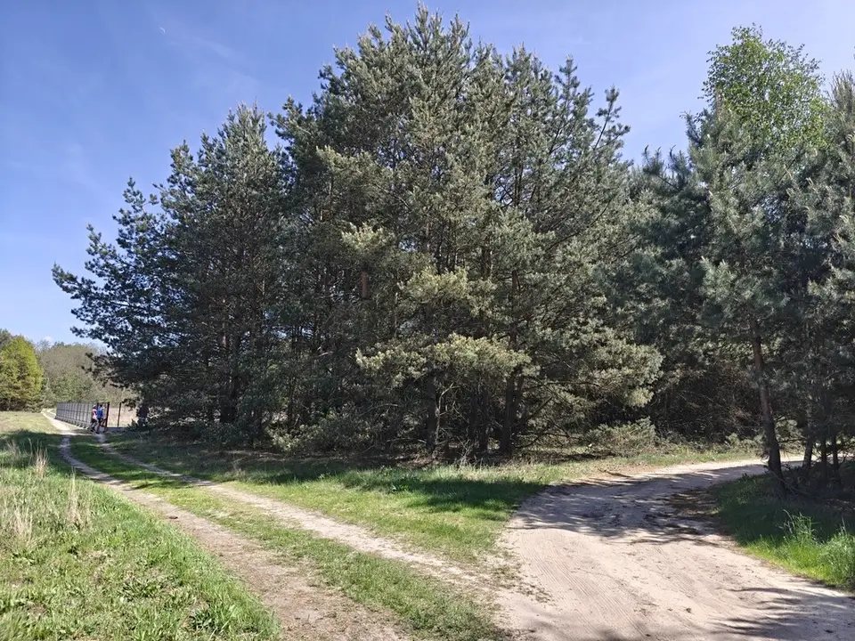 Zdjęcie 7