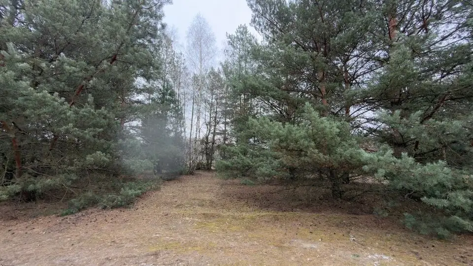 Zdjęcie 8