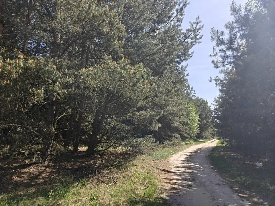 Zdjęcie 9