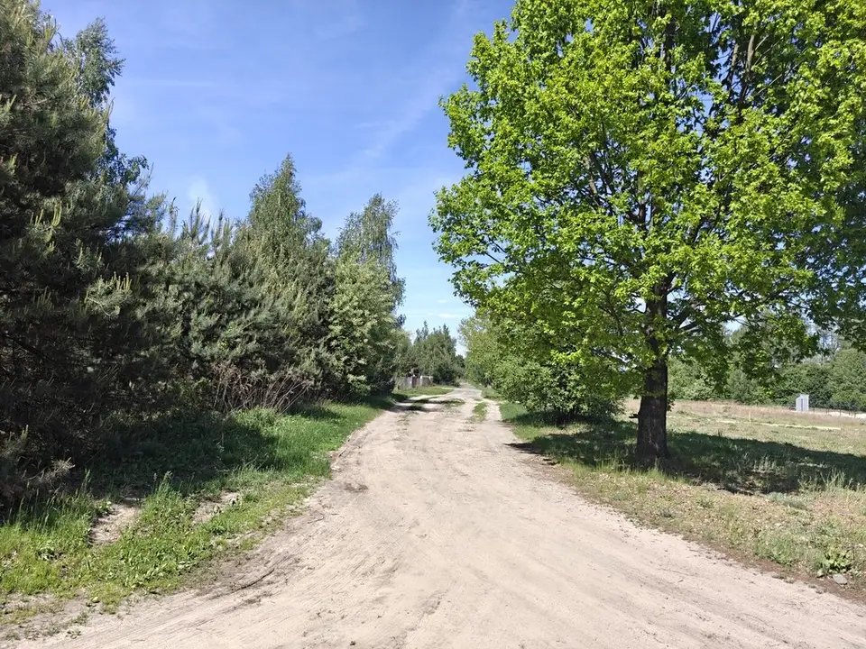 Zdjęcie 10