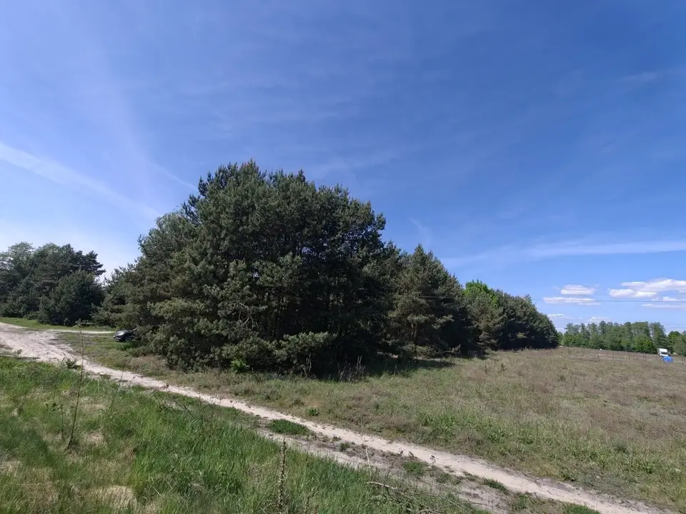 Zdjęcie 11