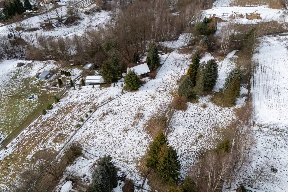 Zdjęcie 12