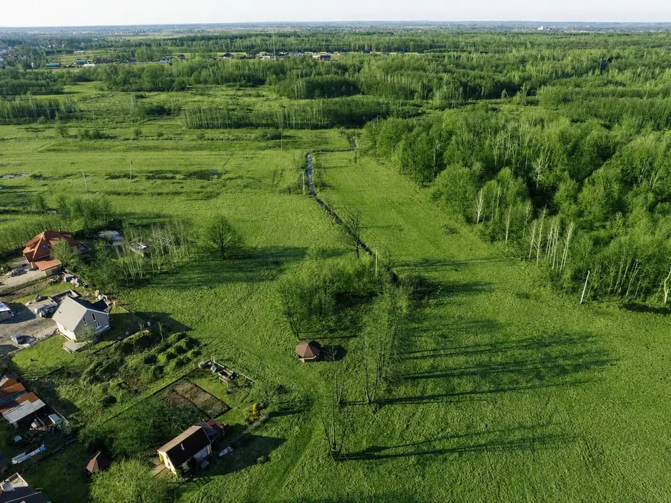 Zdjęcie 12