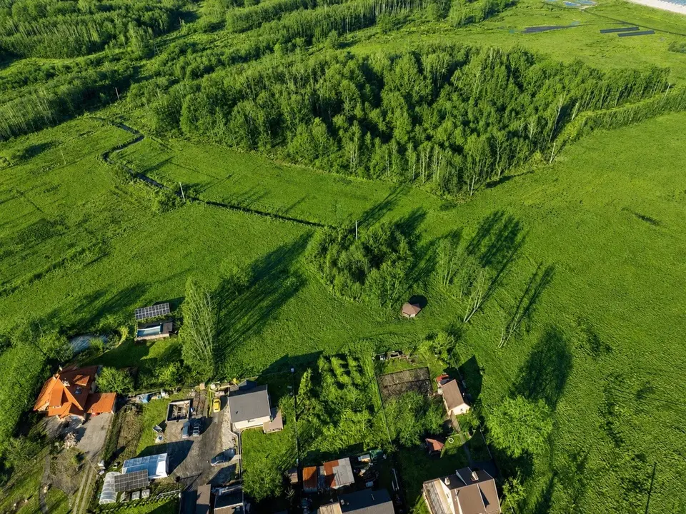 Zdjęcie 14