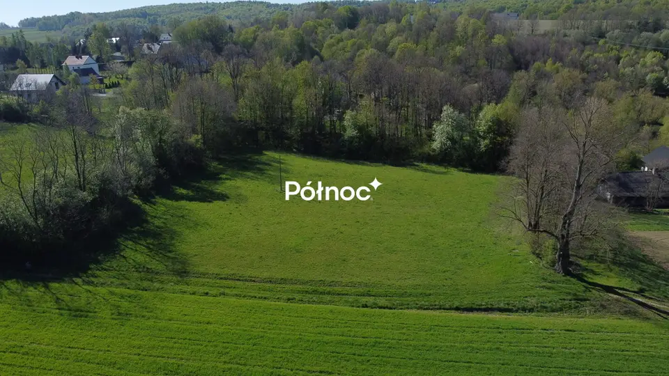 Zdjęcie 5