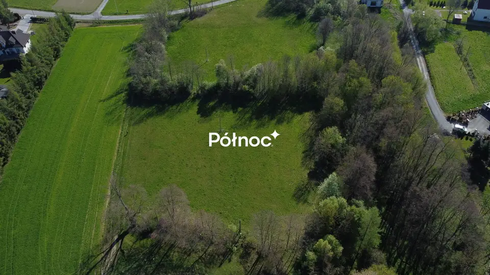 Zdjęcie 7