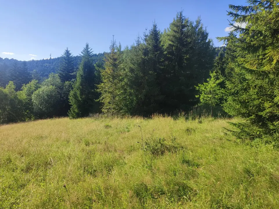 Działka budowlana i rolna 6 245 m², Złatna