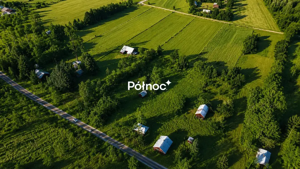 Zdjęcie 4