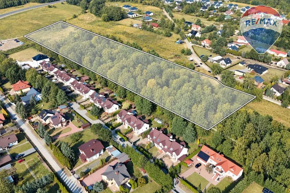 Zdjęcie 10