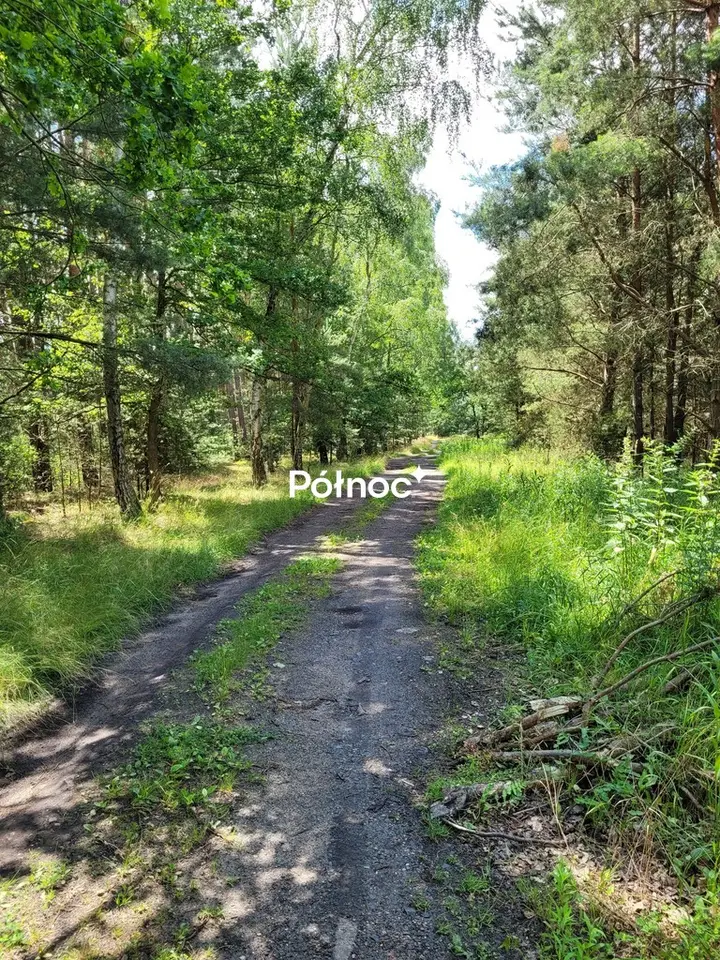 Zdjęcie 5