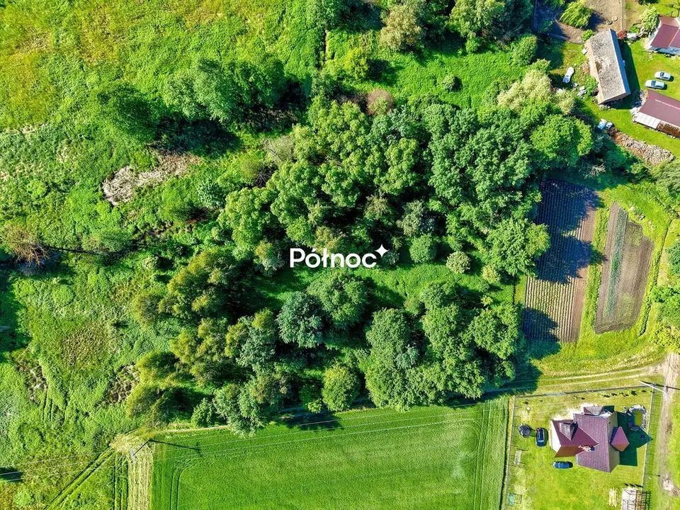 Działka budowlana 5 000 m², Skoroszów