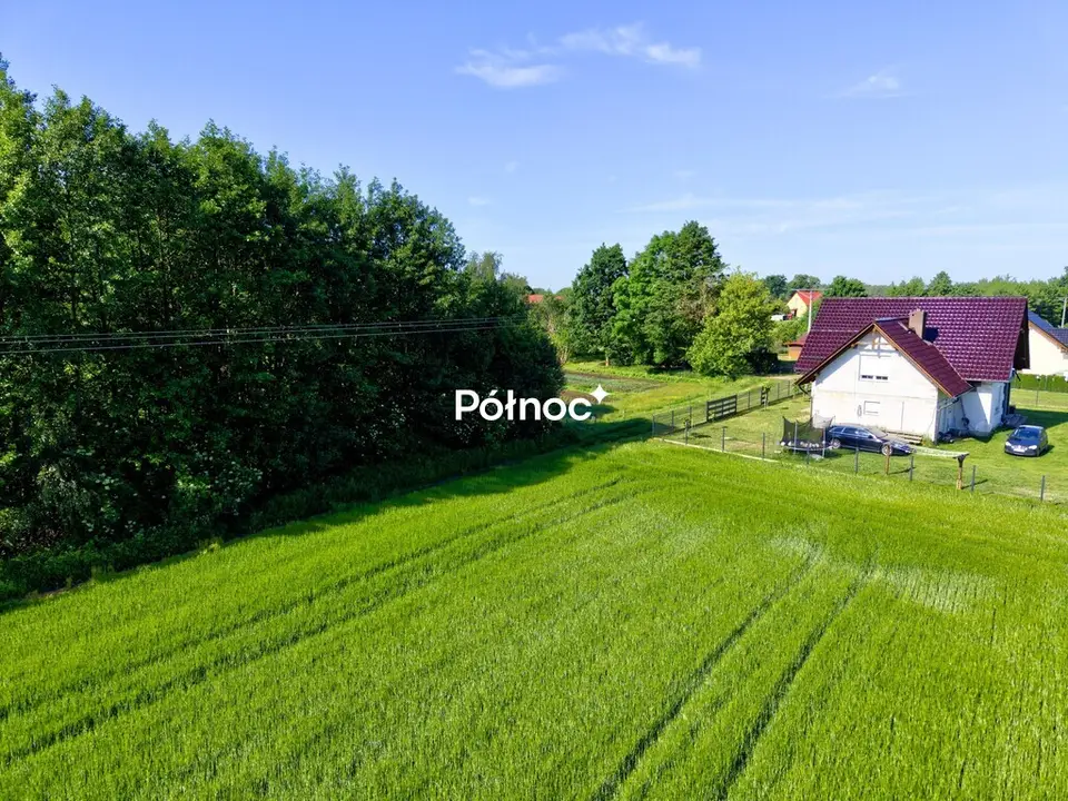 Zdjęcie 4